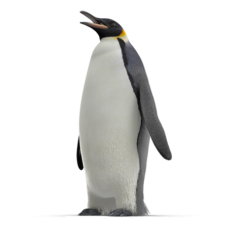 Emperor penguin. isolated on white background. 3D illustrationの写真素材