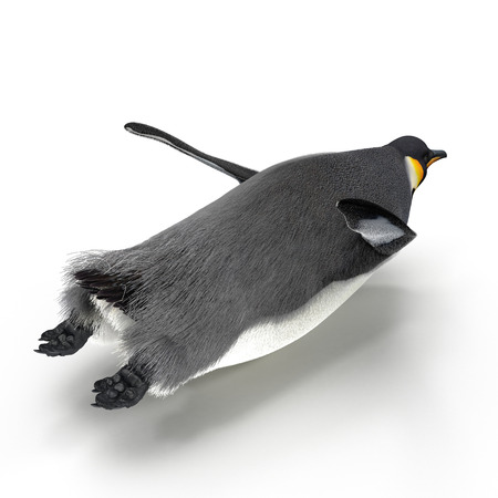 Emperor penguin sliding. isolated on white background. 3D illustrationの写真素材
