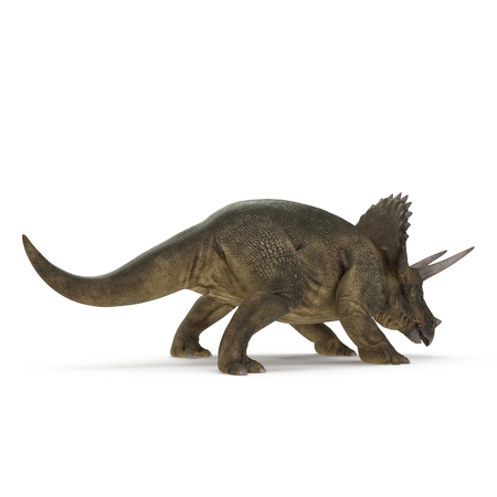 Triceratops dinosaur on white. 3D illustrationの写真素材