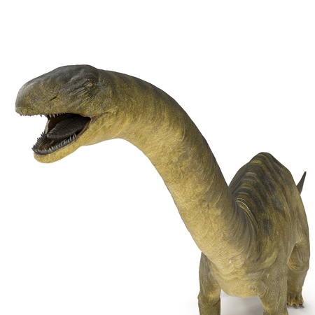 Apatosaurus Dinosaur on white. 3D illustrationの写真素材