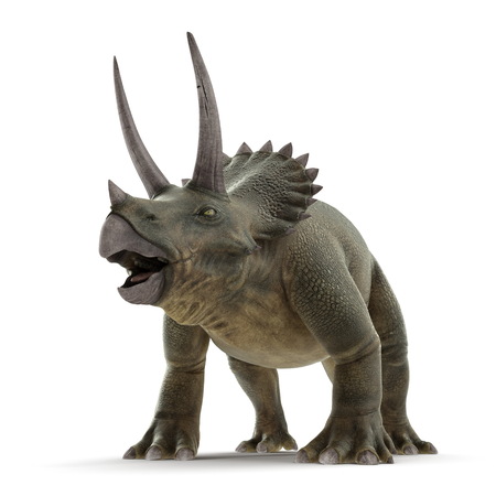 Triceratops dinosaur on white. 3D illustrationの写真素材