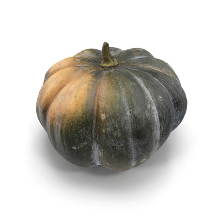 Green Pumpkin On White Background. 3D Illustration, isolated, renderの写真素材