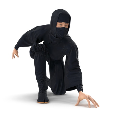 Ninja Taking Fighting Pose On White Background. 3D Illustrationの写真素材