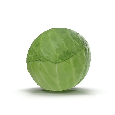 Cabbage 3d Illustration on White Backgroundの写真素材