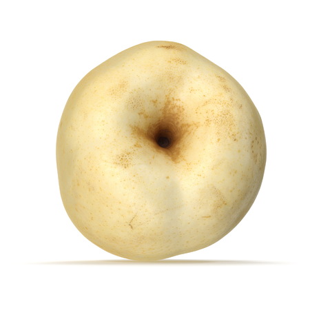 Nashi Pear 3D Illustration on White Backgroundの写真素材