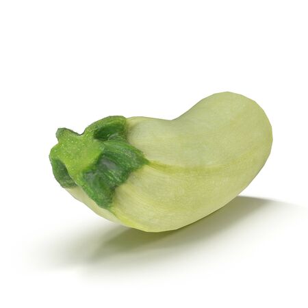 Zucchini Half on White Background 3D Illustration Isolatedの写真素材