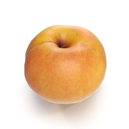 Apricots Isolated on White Background 3D Illusrationの写真素材