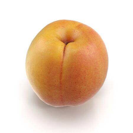 Apricots Isolated on White Background 3D Illusrationの写真素材