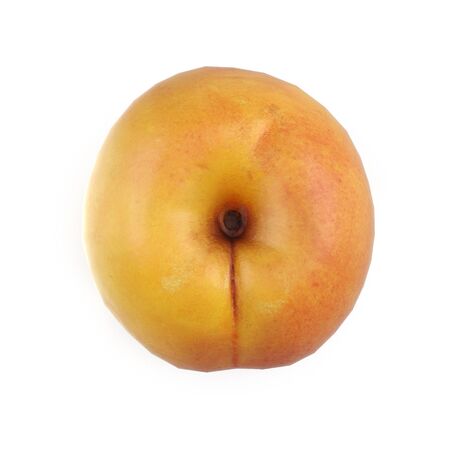 Apricots Isolated on White Background 3D Illusrationの写真素材