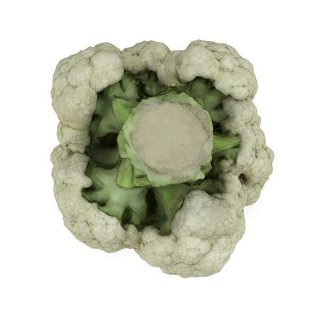 Cauliflower Isolated on White Background 3D Illustrationの写真素材