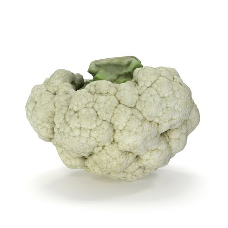 Cauliflower Isolated on White Background 3D Illustrationの写真素材