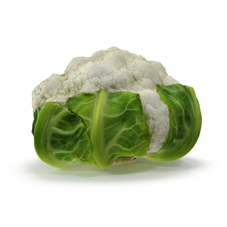 Cauliflower Isolated on White Background 3D Illustrationの写真素材