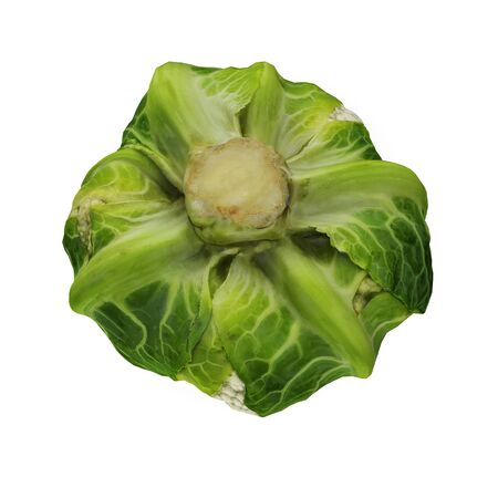 Cauliflower on White Background 3D Illustration Isolatedの写真素材