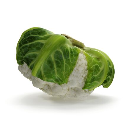 Cauliflower on White Background 3D Illustration Isolatedの写真素材