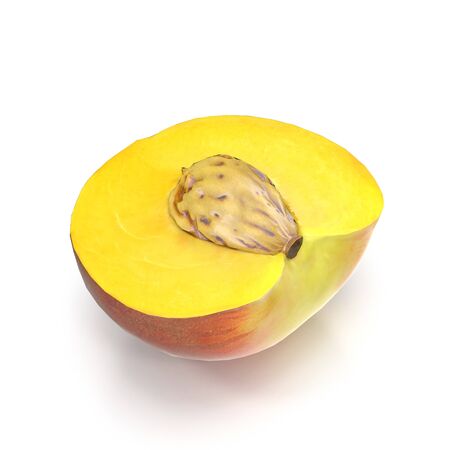 Half of Peach With Seed on White Background 3D Illustration Isolatedの写真素材