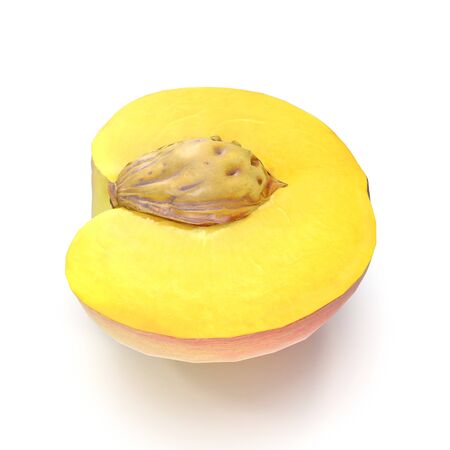 Half of Peach With Seed on White Background 3D Illustration Isolatedの写真素材