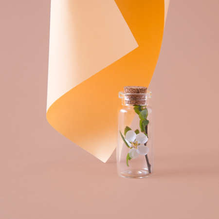 Fresh cherry blossom in small bottle on pastel beige paper background. Minimal spring concept.の写真素材
