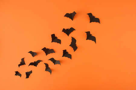 Flying or levitate concept with halloween bats on orange background. Minimal bold composition with copy space.の写真素材
