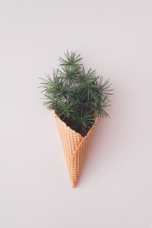 Ice cream made of Christmas tree branches. Winter minimal creative holiday concept. Flat lay.の写真素材
