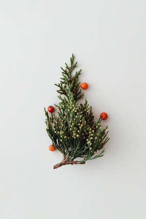Minimal Christmas tree made of evergreen plant with bauble berries decoration on white background....