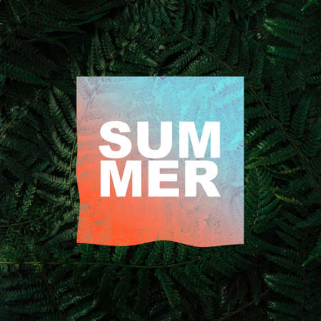 Summer text on gradient paper card note.  Creative nature layout made of tropical leaves and flowers...