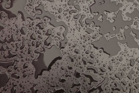 Drops or small puddles of water after rain on a smooth matte surface of a dark color.の写真素材