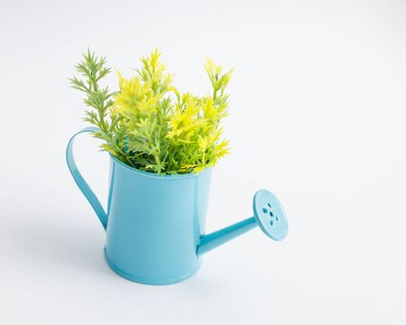 Toy blue watering can with yellow green plastic sprigs on a white background.の写真素材