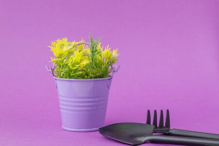 Toy bucket purple with yellow-green sprigs, rakes and shovel on a dark purple background.の写真素材