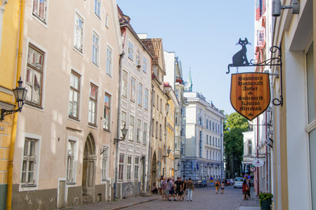 Tallinn Estonia 23 July 2018. Walking along the street of Tallinn old town on a summer day.のeditorial素材