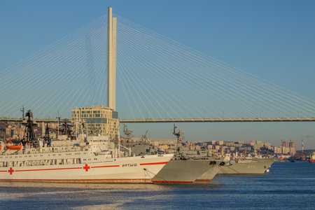 Vladivostok Russia 14 November 2018. View of the ships and the Golden bridge from the Vladivostok sea stationのeditorial素材