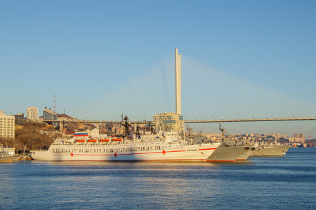 Vladivostok Russia 14 November 2018. View of the ships and the Golden bridge from the Vladivostok sea stationのeditorial素材