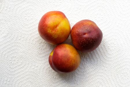 Three ripe nectarines on a white background. Top viewの写真素材