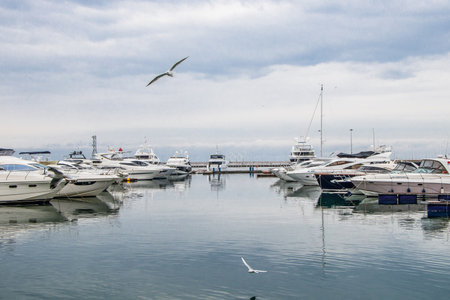 Sochi Russia February 8, 2019. Seaport in Sochi on a cloudy day. View of the yacht from the shore.のeditorial素材