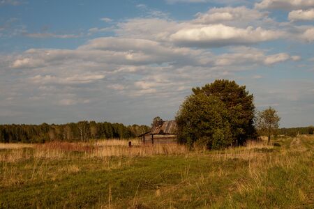 The last old rustic wooden house with a garden, standing in the field. Siberia.の写真素材