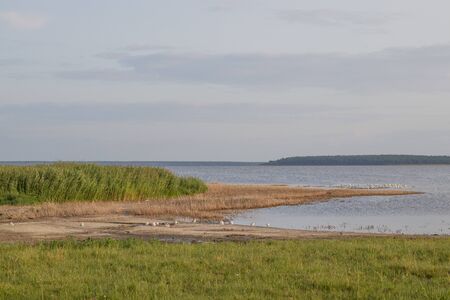View of healing salty lake Medvezhye, Kurgan region, Russiaの写真素材