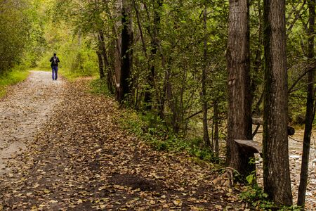 Tourist walking into the distance along a forest road. Bench for relaxation by a mountain river.の写真素材