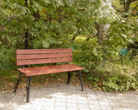Wooden brown bench with openwork iron legs in the autumn city park.の写真素材