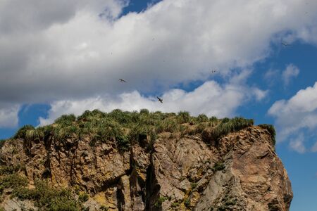 Top of a beautiful rock formation off the coast of the Sea of Okhotsk, where gulls live. Cape Velikan, Sakhalin Island, Russia.の写真素材