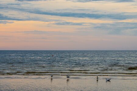 Beautiful summer evening seascape with seagulls. Baltic Sea, Jurmala Beach, Latvia.の写真素材