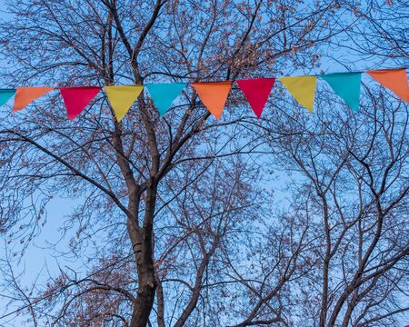 Autumn evening in a city park. Garland of colored flags on a background of tree branches and blue sky.の写真素材