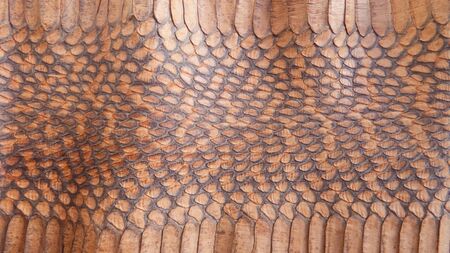 Snake brown skin texture as background. Top wiev. Close up.
