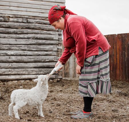 A woman in a red scarf carefully feeds a small cute white goat with milk from a bottle with a pacifier in a Siberian village, Russiaの写真素材