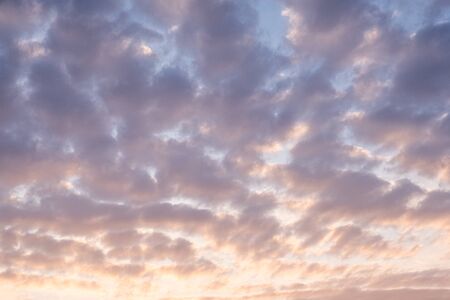Beautiful sunset sky with purple fluffy clouds