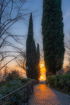 Beautiful park landscape at sunset. The sun is reflected in the sea and on the garden path. Sochi in the winter, Russia.の写真素材