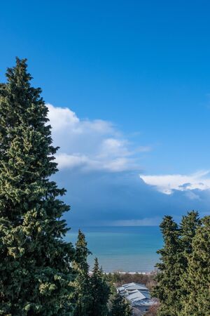 Fluffy green fir trees on the background of the sea and a beautiful cloudy sky. The Black Sea coast of the Caucasus.の写真素材