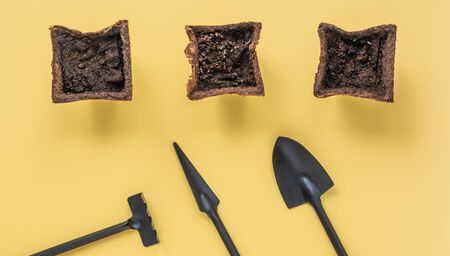 Three peat pots with seeds. Small tools for a home garden, rake and shovels.の写真素材