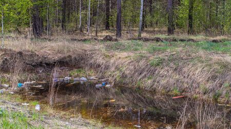 Different rubbish and plastic in a puddle in a spring forest.の写真素材