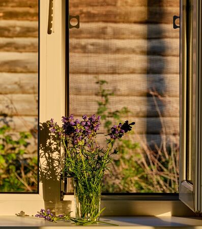 Summer composition. A bouquet of violet wildflowers lit by sunlight on a white window sill in a farmhouse. Country life concept Dracocechalum ruyshianaの写真素材