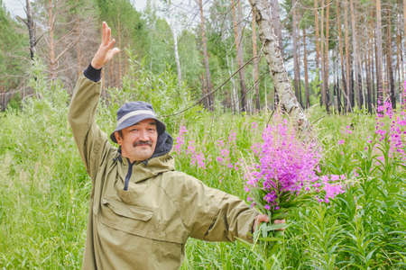 Senior man in mosquito suit holds bouquet of fireweed in his hand and looks into camera on background of blossoming meadow and forest Other hand raised in greeting Chamaenerion angustifolium, Ivan teaの写真素材