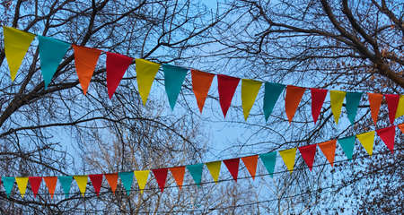 Garland of colored flags on a background of tree branches and blue sky.の写真素材